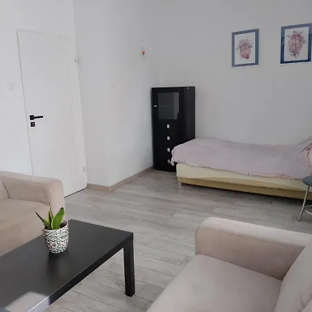 Apartament Tuz Przy Starowce Apartment *